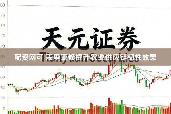 配资网可 表里兼修擢升农业供应链韧性效果