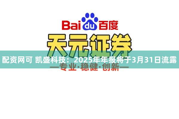 配资网可 凯盛科技：2025年年报将于3月31日流露