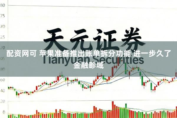 配资网可 苹果准备推出账单拆分功能 进一步久了金融畛域
