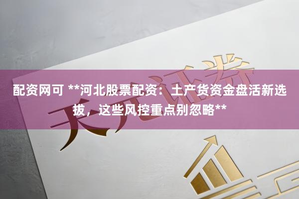 配资网可 **河北股票配资：土产货资金盘活新选拔，这些风控重点别忽略**
